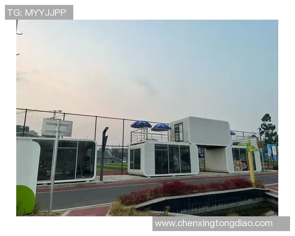 成都足球场的魅力探索与发展历程分析