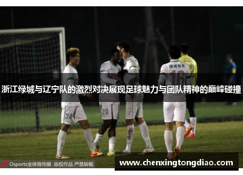浙江绿城与辽宁队的激烈对决展现足球魅力与团队精神的巅峰碰撞