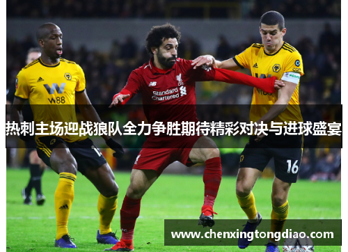 热刺主场迎战狼队全力争胜期待精彩对决与进球盛宴