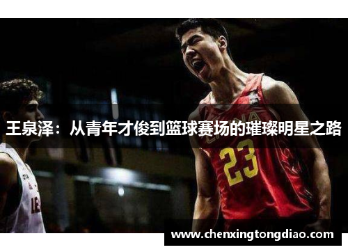 王泉泽：从青年才俊到篮球赛场的璀璨明星之路